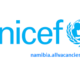 UNICEF Vacancies
