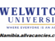 Welwitchia University Vacancies