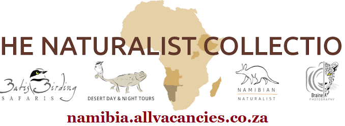 The Naturalist Collection Vacancies
