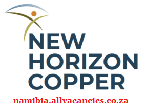 New Horizon Copper Vacancies