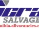 Scrap Salvage Vacancies